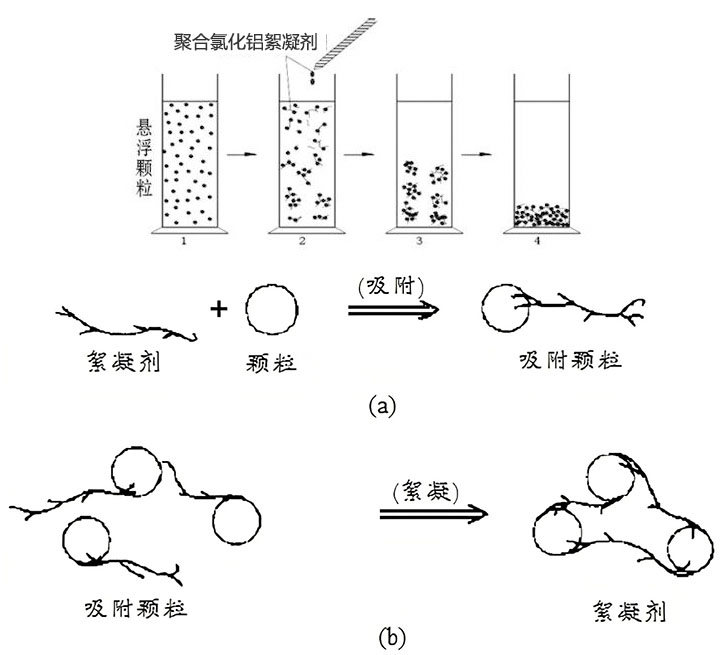 聚合氯化鋁絮凝劑絮凝吸附沉淀過程示意圖